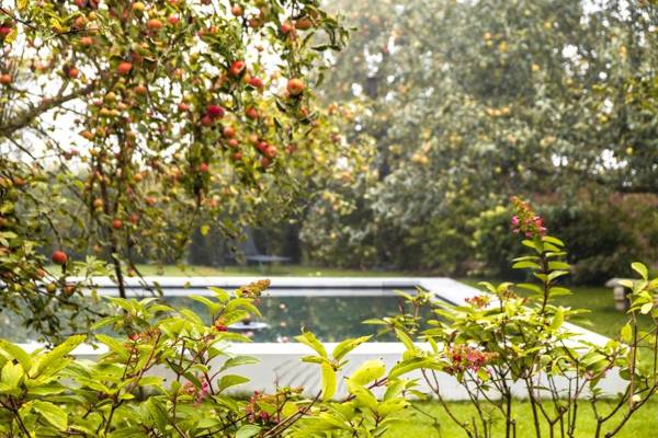 Reck's Hotel-Restaurant