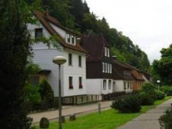 Spacious group house in the Harz region with a fenced garden