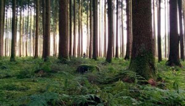 Ferienwohnung Schwalm-Aue