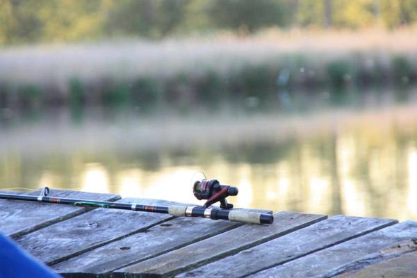 Ferienwohnungen Usedom USE 3380