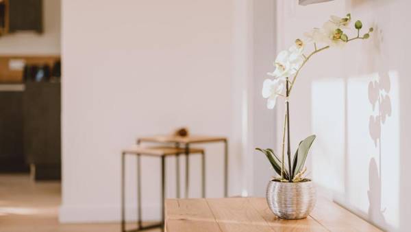 Strandhaus - Apartment 01