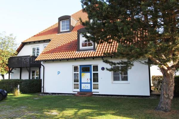 Kormoran Dünensommer