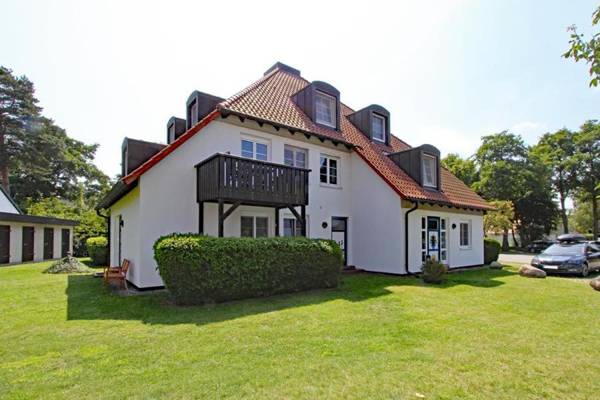 Kormoran Wald und Strand