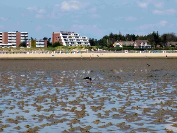 Haus Halligblick Wohnung 16