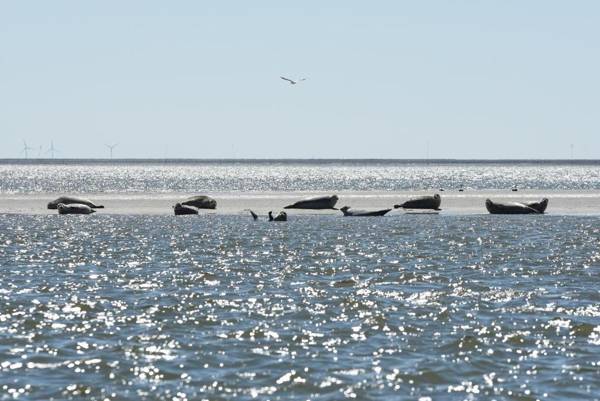 Hilligenlei Zimmer 05 DZ