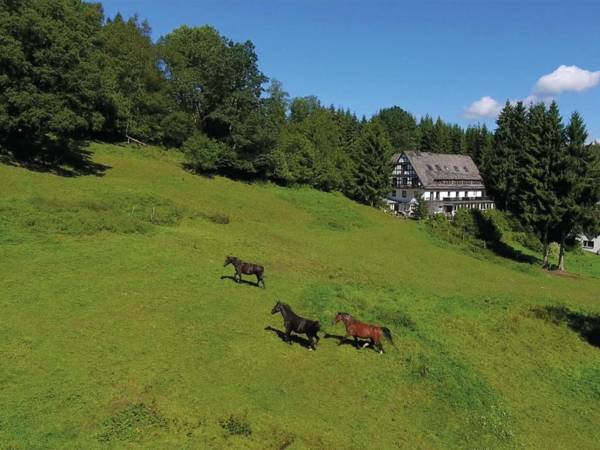 Exclusive group house in Winterberg with common room bar and large kitchen
