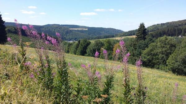 Ferienwohnung Waldblick Winterberg