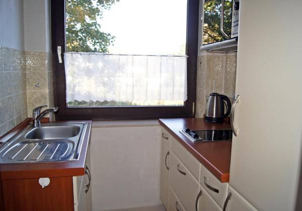 Winterberg Appartement 21112