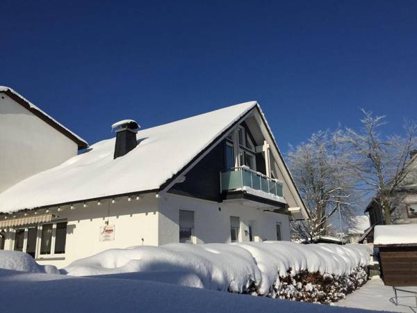 Snow-covered Holiday Home in Winterberg with Sauna Garden