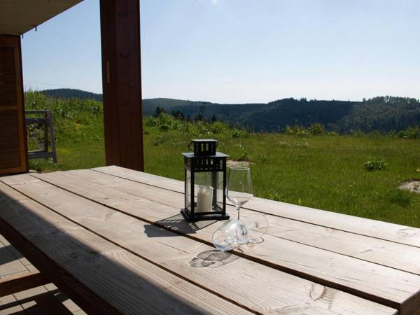 Luxurious apartment in Winterberg-Neuastenberg with private sauna