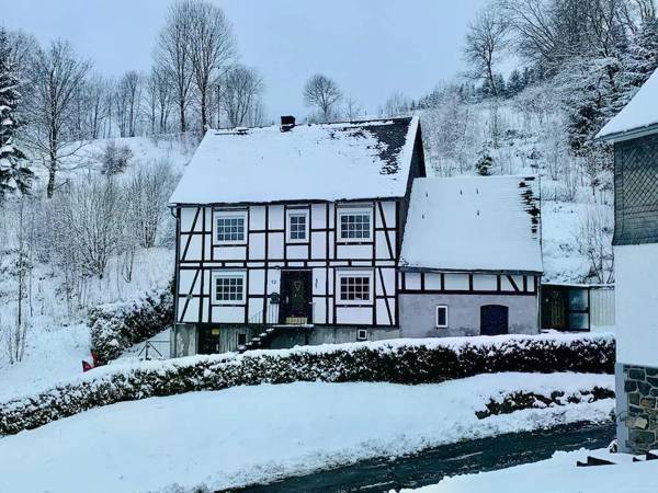 Large holidayhome near Winterberg with garden terrace and garage