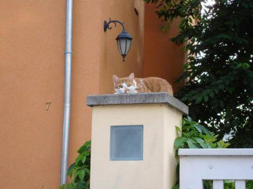 Pension Refugium überm Schwansee