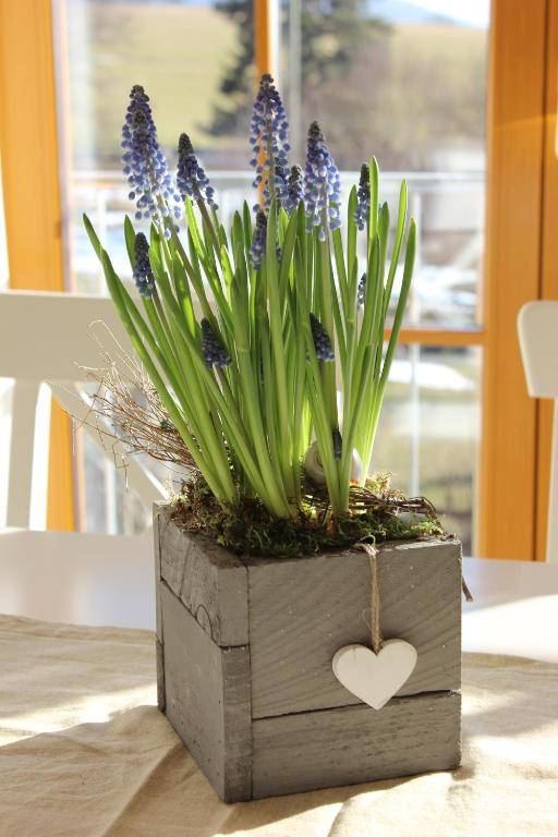 Ferienwohnung Sandra Wetzel