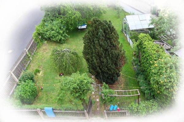 Ferienwohnung-Waldstrasse-mit-Garten-nur-50-Meter-vom-Wald-entfernt