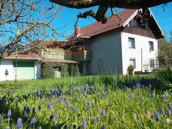 Zeiler Peter und Luisie