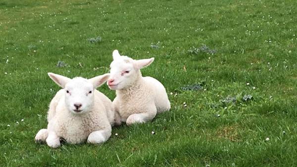 Ferienwohnung An Bord