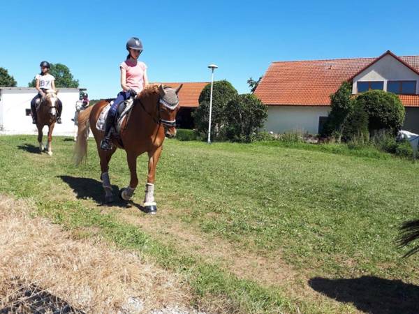 Ferienwohnung Baumgartner