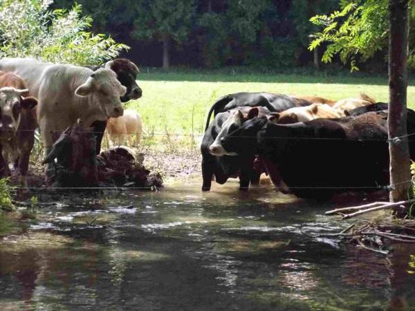 Ferienwohnung Mohnblume