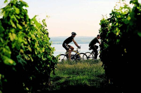 Wohlfühlhotel Sonnengarten