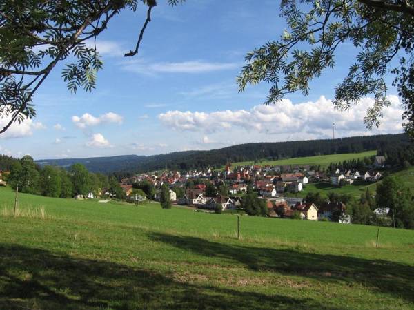 Terrassenpark Schonach App. 161