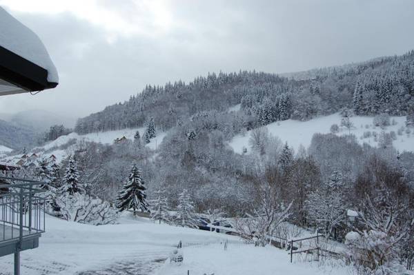 Steiert Panorama Apartments Todtnau
