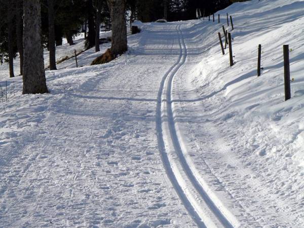 Ferienwohnung Bergahorn