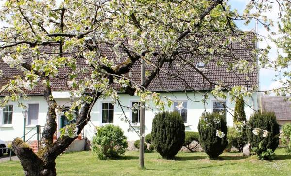 Pension Gestüt Lindenhof