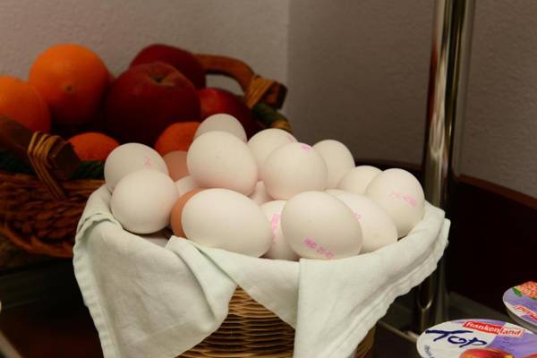 Hotel Linde Stuttgart