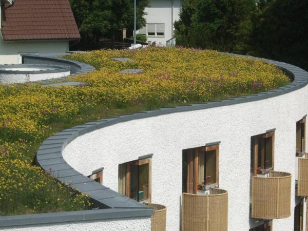 Akademie der Dioezese