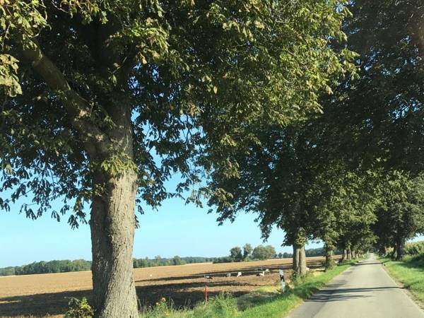 Luxurious Apartment in Boddin with Garden