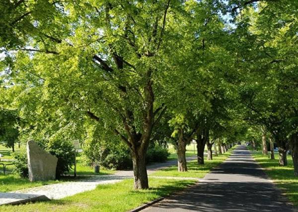 Ferienwohnung An der Dorfmauer