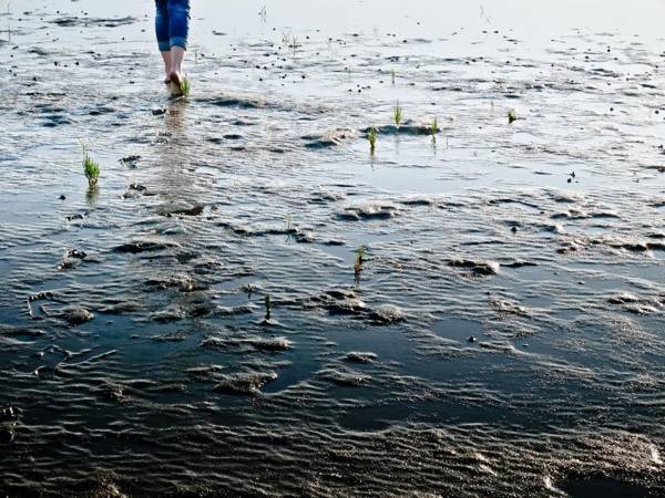 Hotel und Spa Lundenbergsand