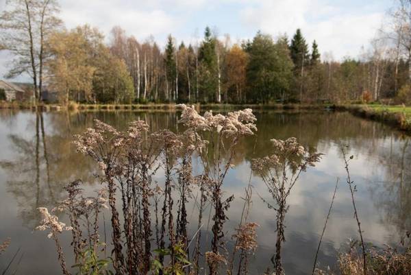 Wiesner's Teichwirtschaft