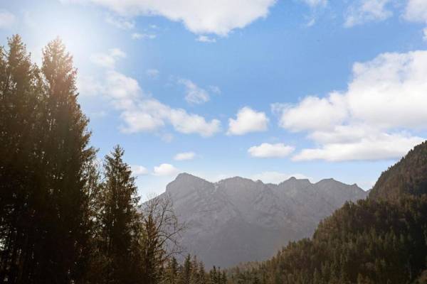 Ferienwohnung Haus Reiteralm