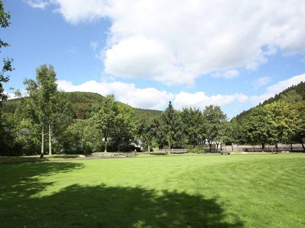 Lovely Apartment in Oberkirchen near Golfing and Horse Riding