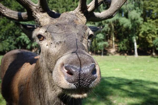 Ehrentaler Ferienhaus GbR