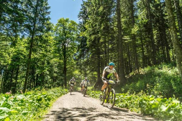 Kurhotel Schluchsee App 1103 - das mit der Kuckucksuhr mit Indoorpool Hochschwarzwaldkarte Schluchsee