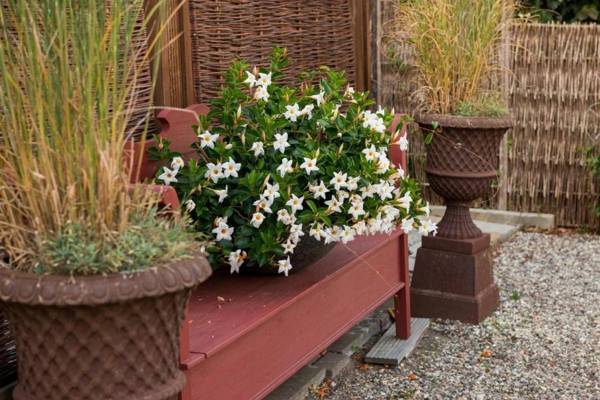 Altes Strandhus Casa Meeresbrise