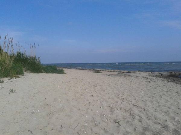 Appartements Villa Drachenberg