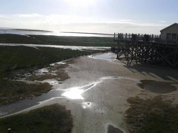 Ferienappartement-Aust