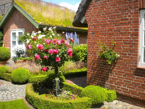 Reetdachhus an de Diek