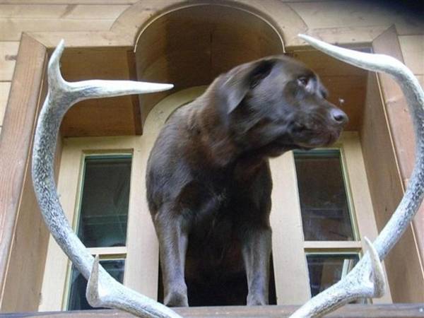 Forsthaus Röthelmoos