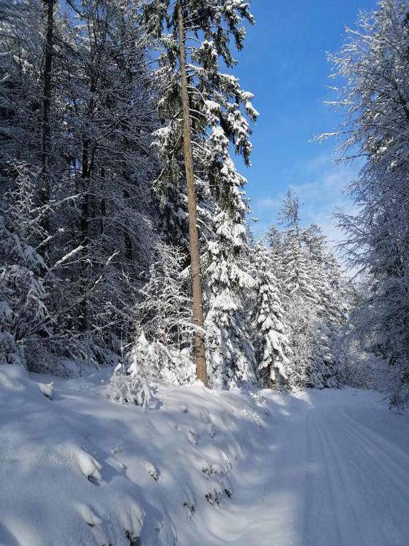 Ferienwohnung Reitinger
