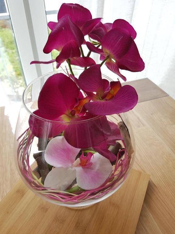 Apartment by Janzen O