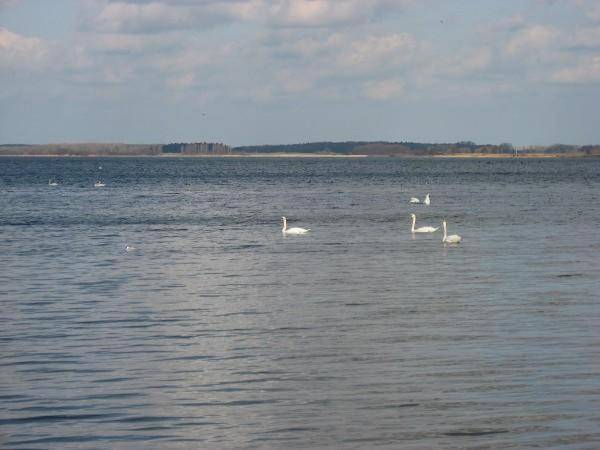 Ferienhaus Rügenblick