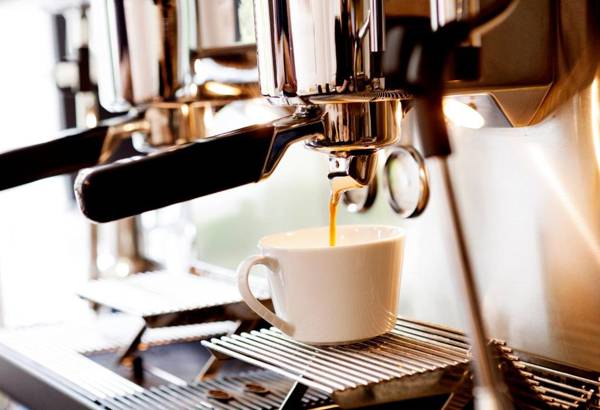 Logierhaus RheintorEins