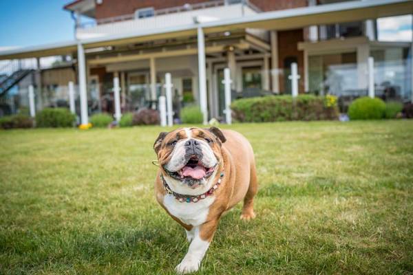 Ferienzentrum Yachthafen Rechlin