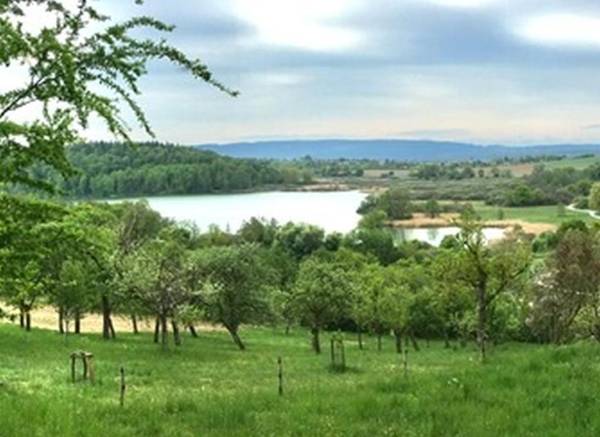 Ferienwohnung Seeliebe