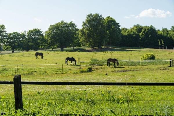 Hafenresidenz Alter Speicher Rügen