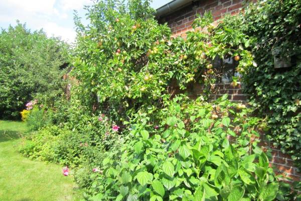 Exklusive Ferienwohnung Strohberg